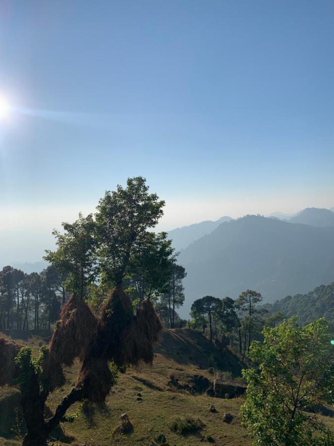 Meemo'S Home Dharamshala Exterior photo
